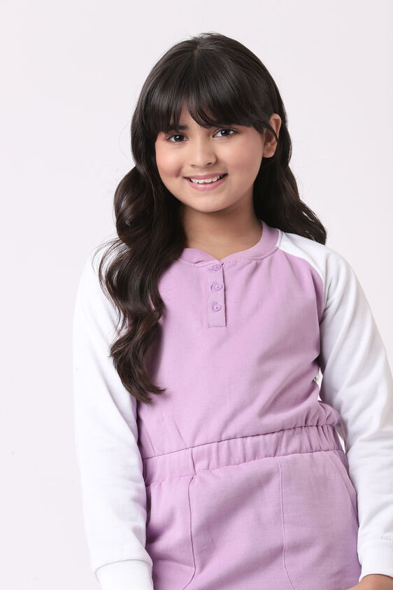 Purple Colour blocked Straight Dress, Purple, image 3